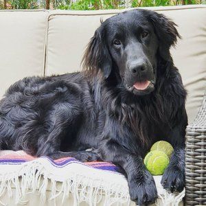 Meet your Posher, Tracie